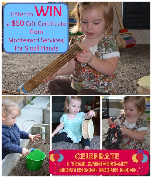 1 year anniversary - Montessori Services